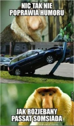 86584f0a-4da2-415b-8f02-0076a125a1c2