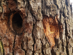 24a02c32-e4db-4dfb-9351-993cb7413a66