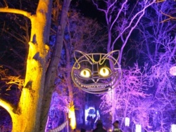 79be8346-411a-4d73-b139-e30ffa2821e8