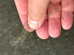 c13fffff-9a26-4b3a-a110-78132e660d60