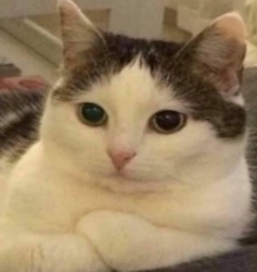 a13e0df2-f933-4cdb-aa11-bb25f7c3c290