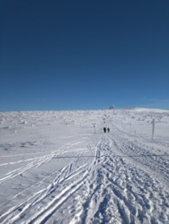 773be67f-89c2-4ebe-a113-ed01e19d93d0