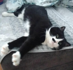 d9d07401-4c47-4ce3-bc09-00750a67f47e