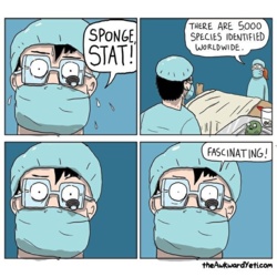 87ad0b81-dc53-47c1-8717-dbfe0125717d