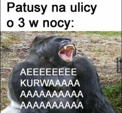 7d611394-b84e-4f3b-b582-f38318d34788