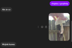 518e7d0f-e593-4556-84d9-0d90ae1e871d