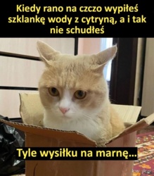 f57148e3-703c-4781-91ea-5df1675bf25b