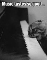 db53b1e9-393e-4906-a95b-6d7a2a18e31f