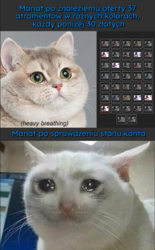 f8821884-1be7-4b56-be0f-9018a9e68b8e