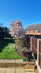 3150af52-e289-430e-8f90-db24b6f86f2d