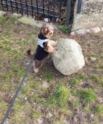 da578989-d573-4359-96fe-f853364d102e