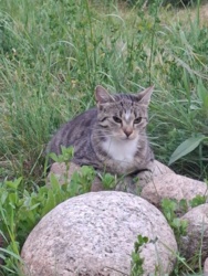 53601e2b-80d2-4ec8-b4bb-261dad11c865