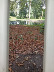 d02c722a-b6a0-497f-9ca1-1057c8c4684d