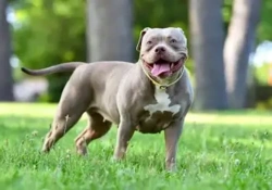 4370dceb-d1e3-498b-943d-732800b4c584