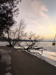 af865313-04f5-43ea-9dc2-5c5cf8ea534b