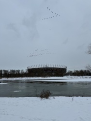 75daf37c-2dd0-480f-bc26-e1b6b48cec4f