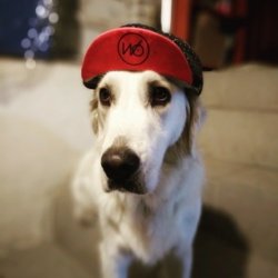 61a8a71c-0d5d-4771-93e4-9f0ec30fdc77