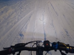 cbeee502-41e8-4e55-a411-3c9cd31f5abe