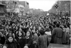 f7fd6f8d-8989-4c51-9a35-d853337b7a02