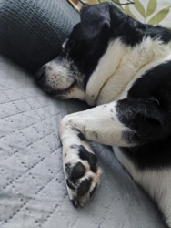 66d10f67-dde6-4cc9-a8b6-167449e1c2a7