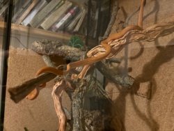 4178a96e-7c2f-490b-8bdf-36f4ecd8e0d5