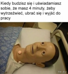 cbccd6d0-3f7e-48d2-b846-923a76c13d18