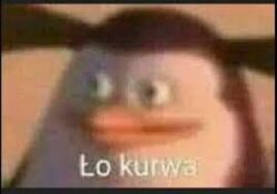 7d589b7f-a4f4-453e-a245-b1bbcd9c6ca8