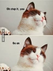 cf4c97f6-5f15-4d72-995a-0ebe6e21bd1e