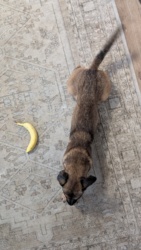 957aed66-ea0e-478b-bd70-f671fc6d44ac