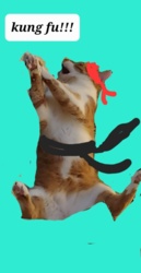 c3c27b9d-b79f-4ea5-bb63-debe33364095