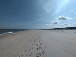 ec126c6d-4b99-496a-bd4b-becceb375370