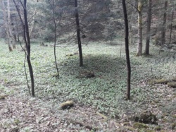 7c9619b3-39ba-4699-874a-1b8d7ff48118