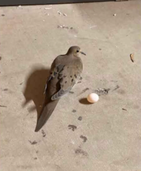 73ff0589-b185-4b9e-9efa-324f3a1a9f75