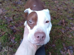 e9c4ec29-70ce-4e3f-8c03-b263f42b65c3