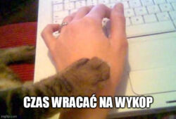 109a5b05-10e6-49e9-847b-faec49a345eb