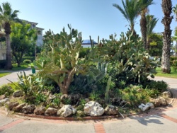 6089e7e0-c884-4400-a559-81b12175db65