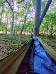 100b1a74-5e55-4996-80ed-3c4d77dbb712