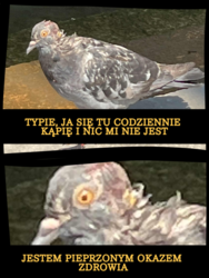 79dc8afb-aab7-46c0-ac69-513ae4794140