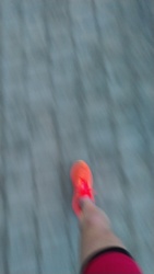 b936d3a0-17d4-4738-bbce-181b31603f79