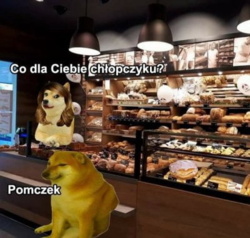 ecda8af2-f62e-42a6-b53e-226df5b29fb1