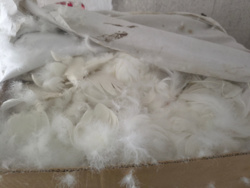 f2bf9b4e-3aaa-451d-bfb3-605324f361cc