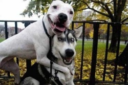 9ef0866f-a76f-42dc-a7f8-7e247c364da2