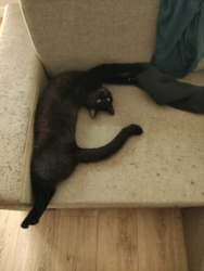 2d027317-ec9c-447b-8a6c-66f1f00ebfe0