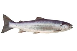 a61e5732-ebdf-4962-bb27-ded2fbc20e52