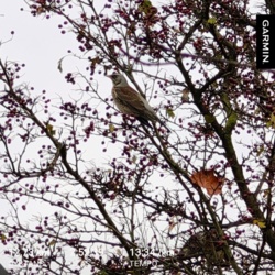 675b943e-472f-4ba0-a653-3ed1a76774c5