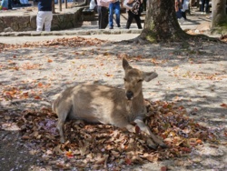 296c9793-0d33-47a8-bba8-0dd8737e98f4