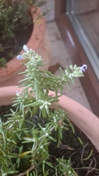 826498e8-ad33-4f34-b7d4-367d90689a69