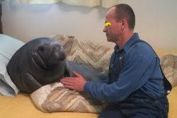 fe51c612-5986-456f-ac2b-648db55a418b