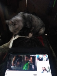 9945bb24-9533-4132-babb-5e14a54de03e