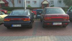 ca07385d-1f58-49c5-aaa4-e6c4b5a04815